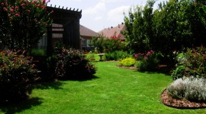 McKinney landscaping for your home