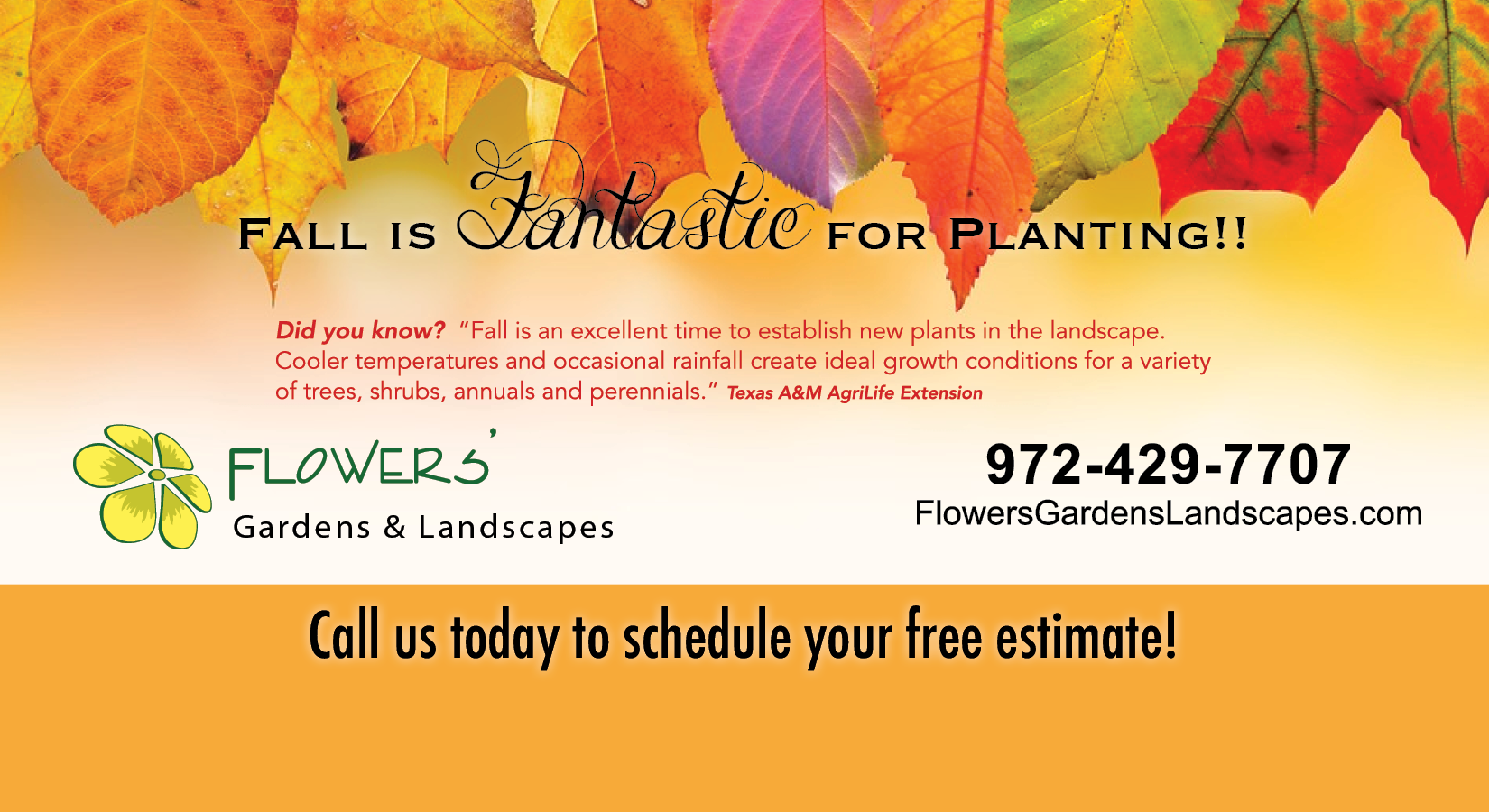 Fall is Fantastic for Planting!