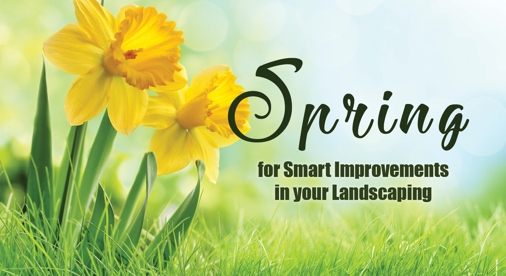 Spring for Smart Improvements in Your Landscaping